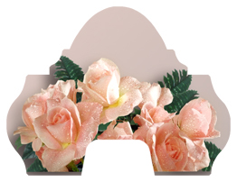 DARAY-L-062 Bouquet Of Roses Peach